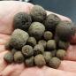 Preview: Dogboilies hand 10+20mm